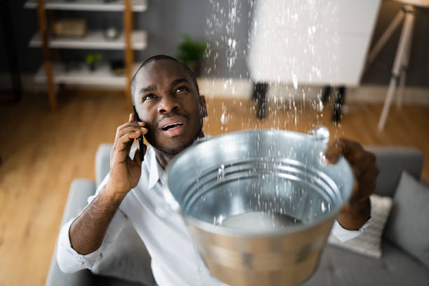 Best 24/7 water damage repair  in Midlothian, TX