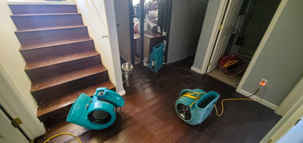 Best Commercial water damage restoration  in Midlothian, TX