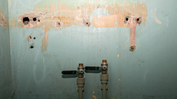 Best Sewage cleanup and water damage restoration  in Midlothian, TX