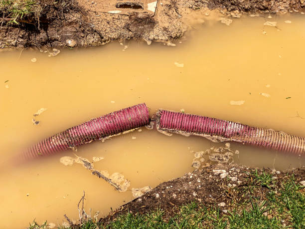 Best Basement water damage restoration  in Midlothian, TX