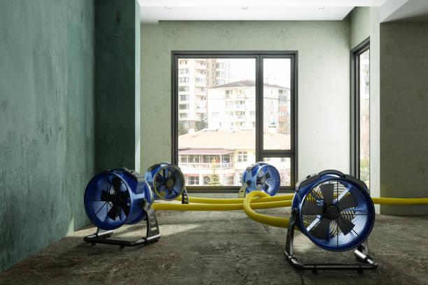 Best Water damage restoration near me  in Midlothian, TX